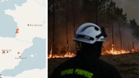 Waldbrände in Spanien, Frankreich und Italien: Karte zeigt dramatische Lage