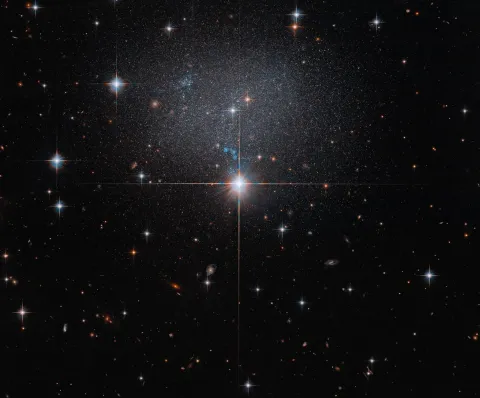 Hubble Spies Faint Irregular Galaxy