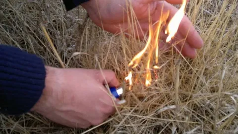 Suspeito de incêndio em São Paio (Gouveia) fica em prisão preventiva