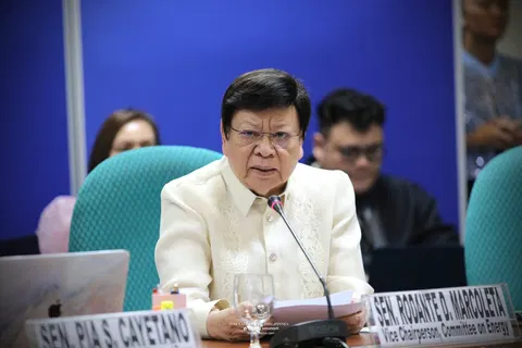 Dear Senator Marcoleta, journalists are not paid hacks just because we ignore you