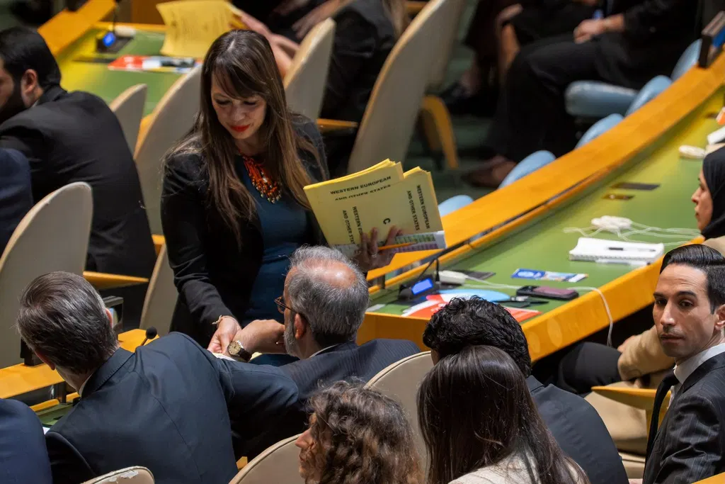 5 countries elected to UN Security Council; Germany misses out