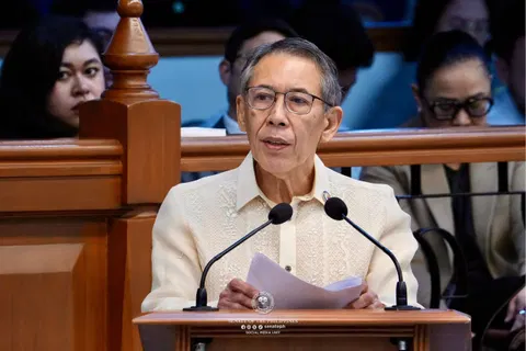 Chel Diokno: Legal expertise in the impeachment spotlight