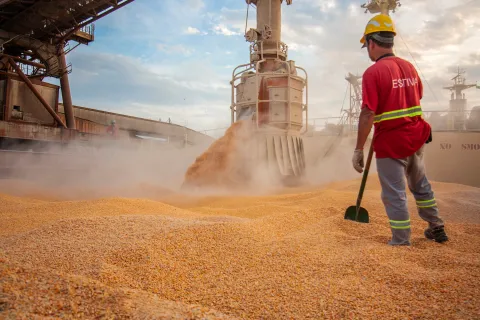 Latin America grains: Soybeans edge up, wheat slips