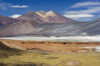 Chile’s Iconic Wetlands to Visit and Those Facing Extinction