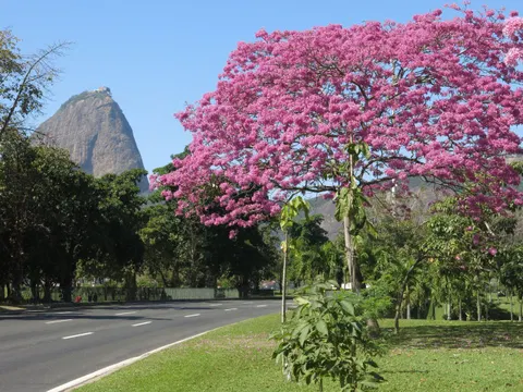 Rio de Janeiro Nightlife Guide for Sunday, June 14, 2026