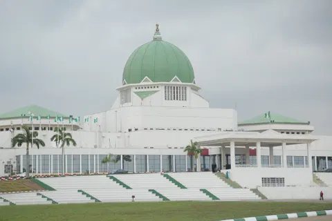 Nigeria’s Senate Backs State Police in a Historic Shift