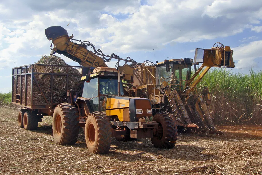 Raizen Q4 Loss Hits $1.45B as Shell, IG4 Eye Brazil Restructuring