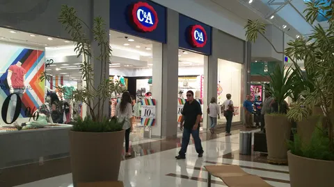 Brazilian Earnings: Retail Gains, Pulp Caution