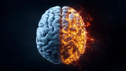 Scientists may have finally found how Alzheimer's spreads through the brain