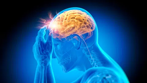 Scientists warn that current vitamin B12 guidelines may be putting your brain at risk