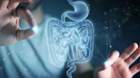 MIT scientists discover amino acid that helps the gut heal itself