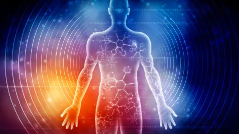 Scientists reveal how seven days of fasting transforms the human body