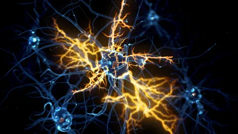 Human organoids reveal how to reverse “irreversible” nerve damage