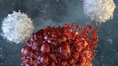 Scientists supercharge natural killer cells to fight aggressive cancers