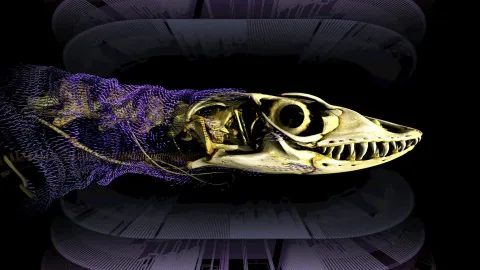 Scientists solve 320-million-year mystery of reptile bone armor