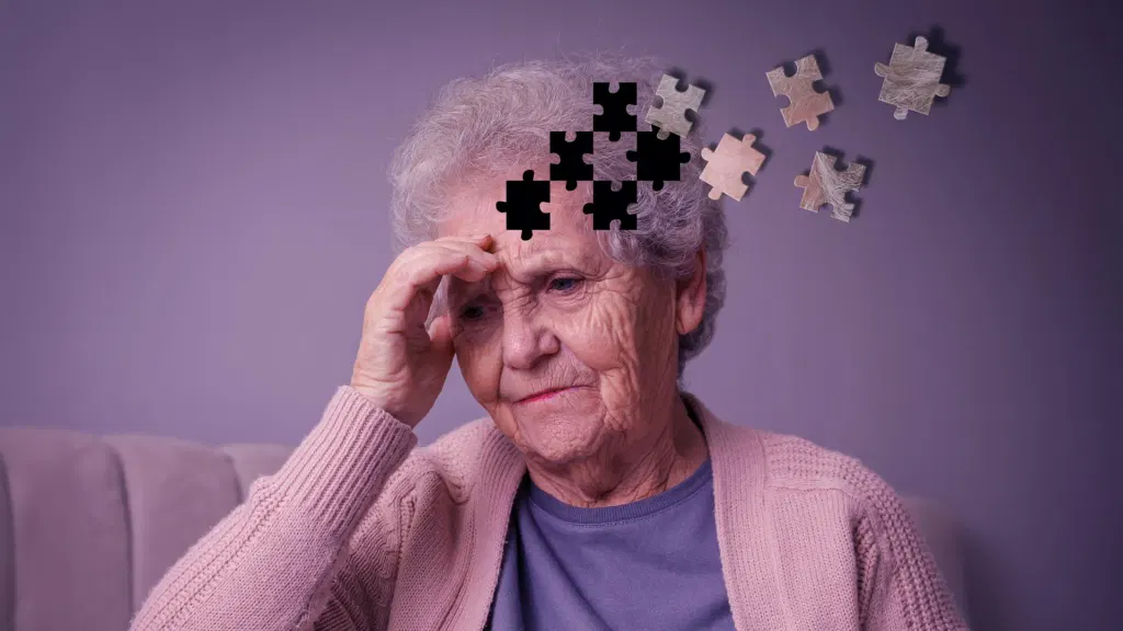 Protein traffic jams may explain aging, memory loss, and Alzheimer’s