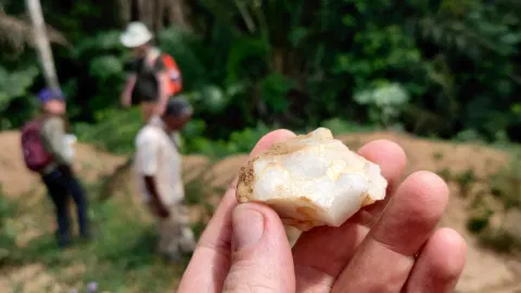 Lost for 150,000 years: Rainforest discovery upends human history