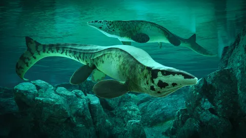 Scientists discover giant sea predator Tylosaurus rex that terrorized ancient oceans