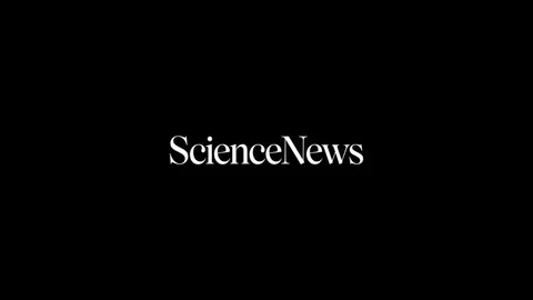 The science of us