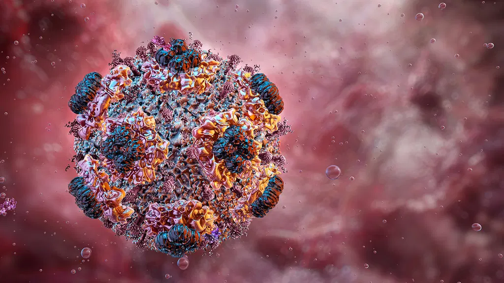 Why is hantavirus so deadly? It’s not what you may think