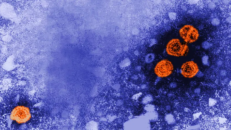 STAT+: GSK picks up hep B drug approval