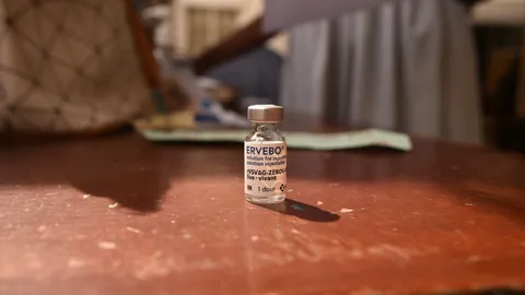 Which vaccines will curb the Ebola outbreak? WHO debates