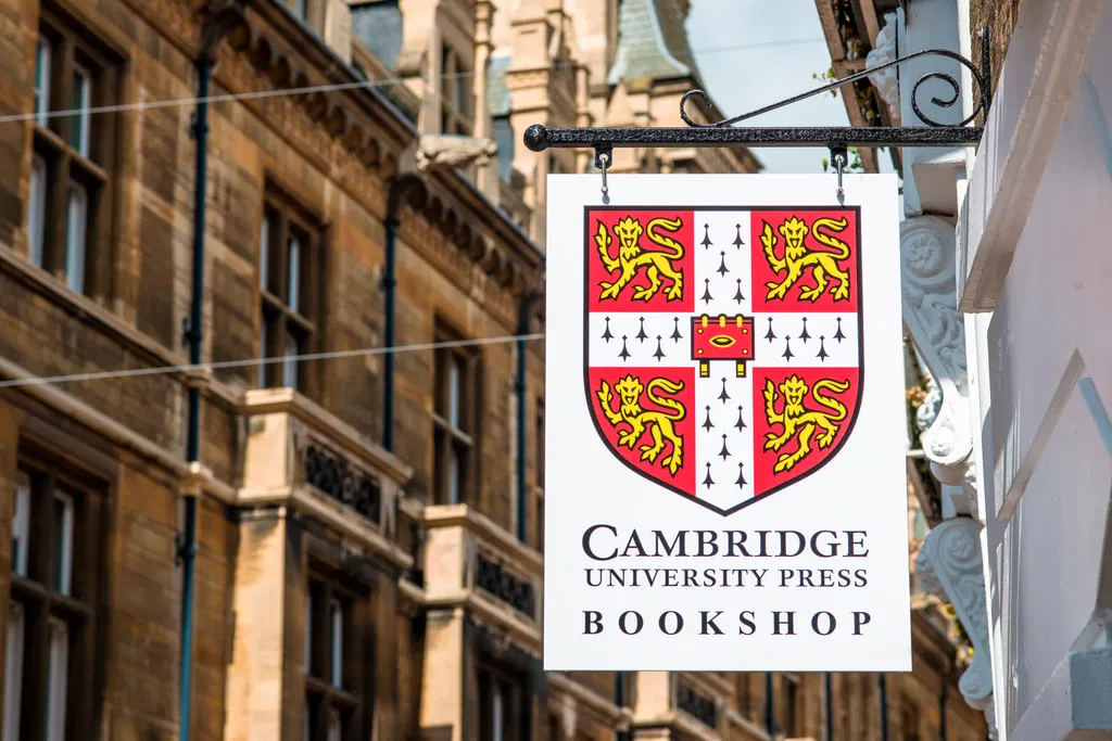 The Arday Debacle and the Bankruptcy of British Institutions