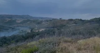 Fier/ Zjarr në kodrat e Peshtanit, ndërhyrja e zjarrfikësve vë nën kontroll flakët