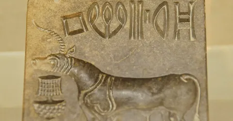 Indus Script (2015)